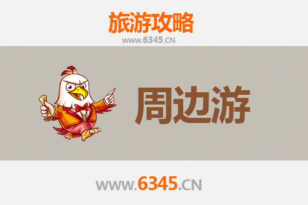 南通如皋周边游攻略：探寻水乡古韵与自然风情